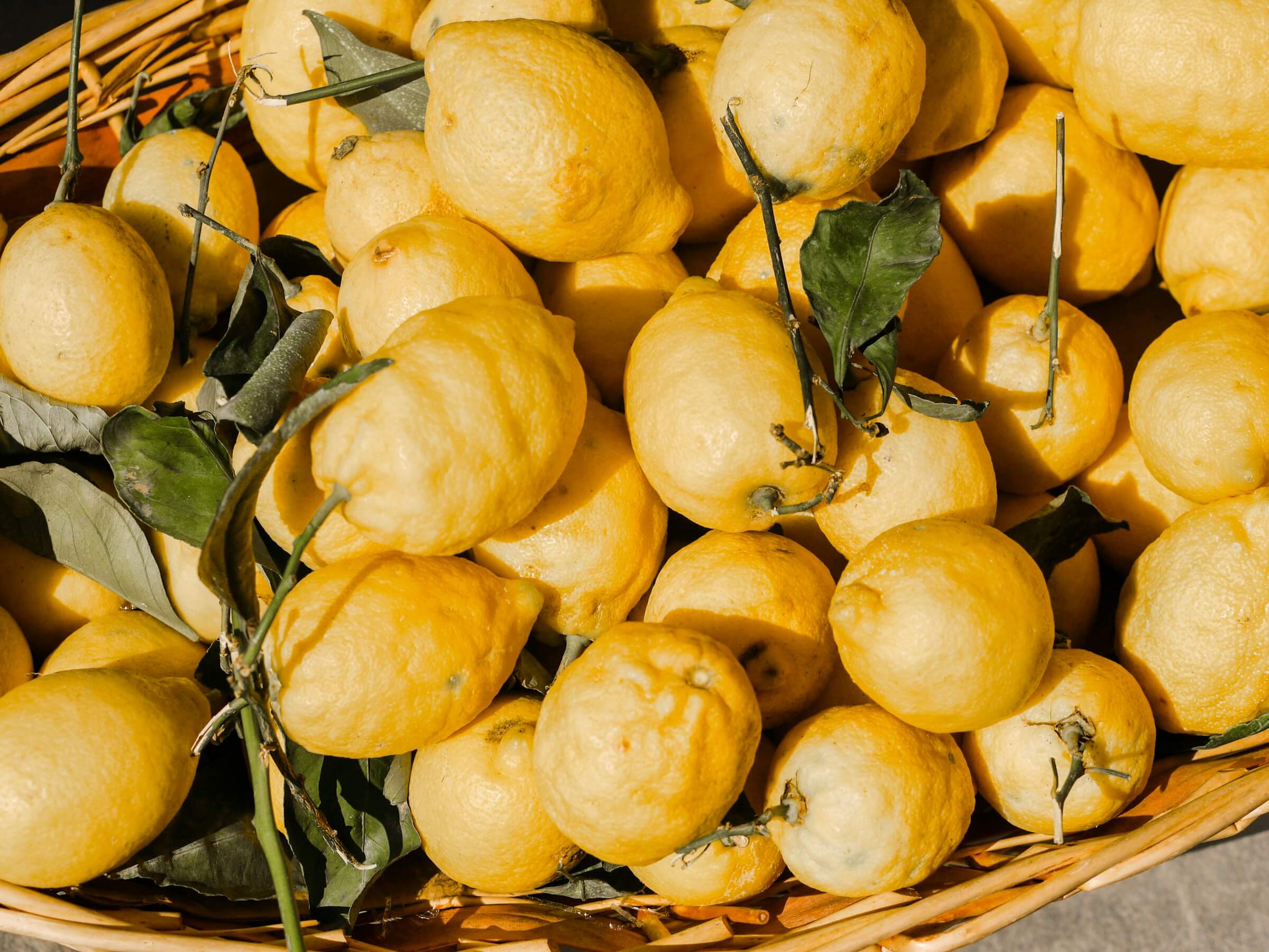 Frutas de exportación